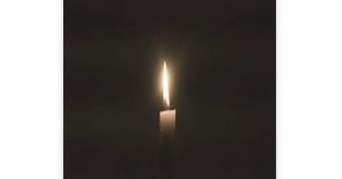 Melissa Ann Goines Obituary: Russellville, Alabama-Beloved Mother and Grandmother Remembered After Passing